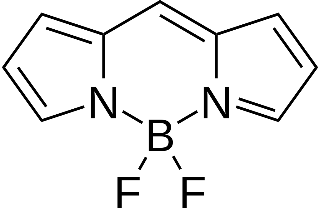 Skeleton structure of BODIPY