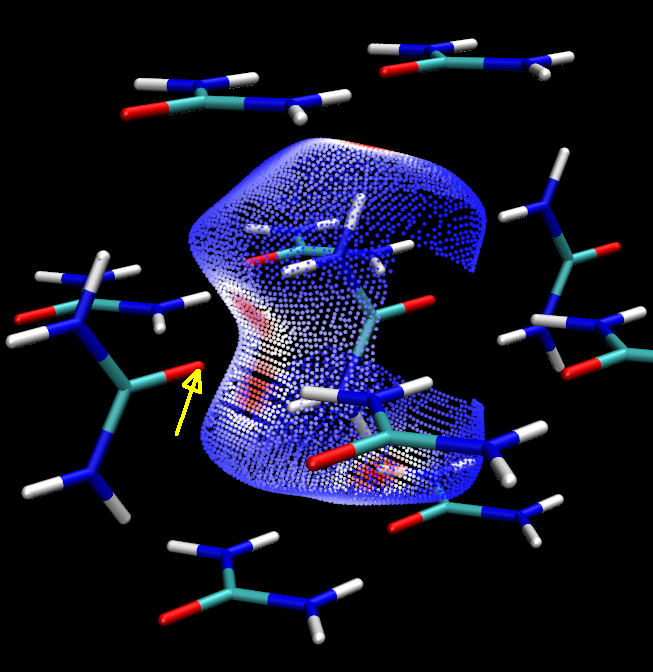 Local contact surface of the central urea shown with the surrounding molecules