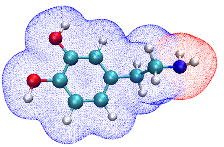 vdW surface of dopamine with the local surface of the amino group highlighted
