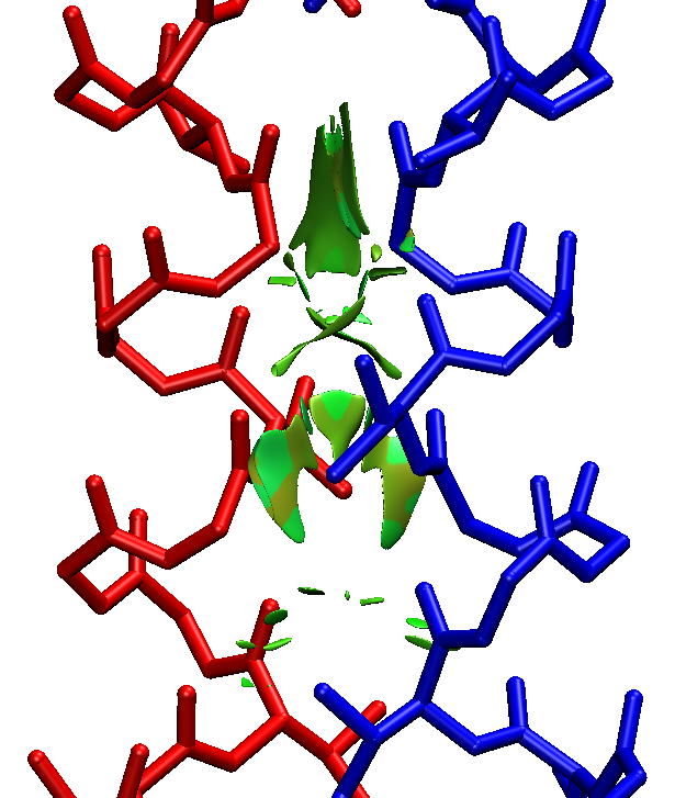 The dimeric protein after screening out the intramolecular isosurfaces