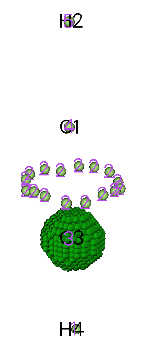 Attractors of the hydrogen atom and the corresponding basin