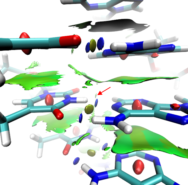 NCI isosurfaces of the local DNA region