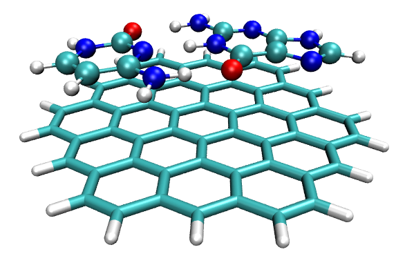 The circumcoronene-cytosine-guanine trimer