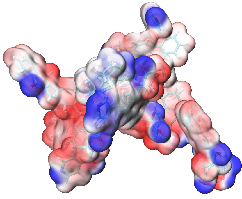 ESP-coloured van der Waals surface of a biomolecule