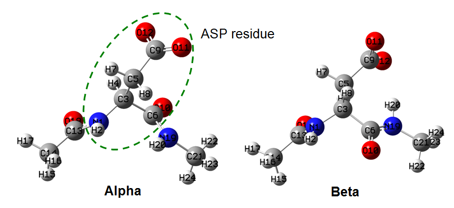 Alpha and Beta conformations of the aspartic acid residue with the constrained region marked